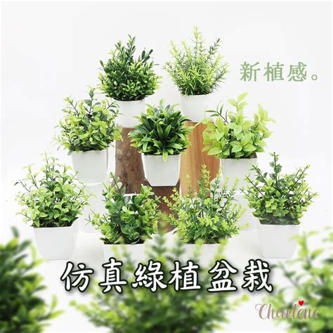 風水 假植物|【假花 風水】假花擺放禁忌大解密！辦公室、家中擺。